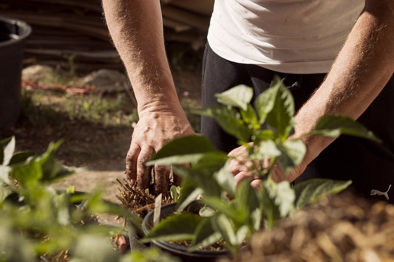 Personal Growth Activities